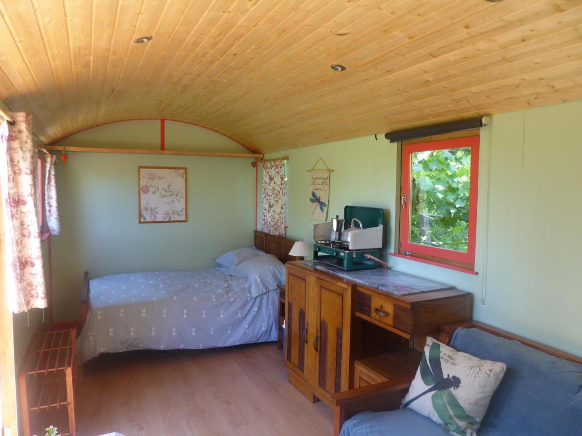 Rosa The Cosy Cabin - Gypsy Wagon - Shepherds Hut, River Views Off-Grid Eco Living Pedrogao Grande Zewnętrze zdjęcie