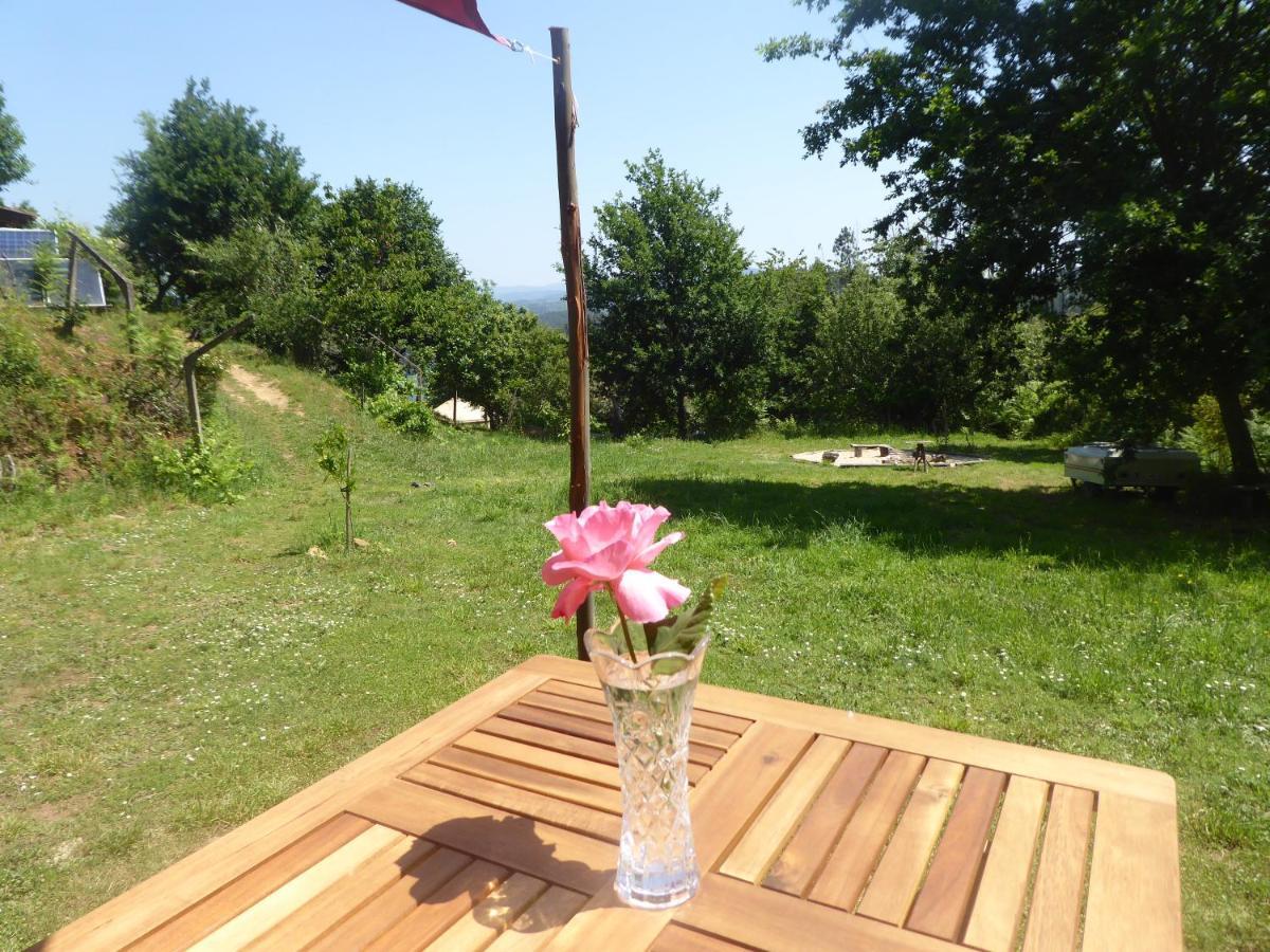 Rosa The Cosy Cabin - Gypsy Wagon - Shepherds Hut, River Views Off-Grid Eco Living Pedrogao Grande Zewnętrze zdjęcie