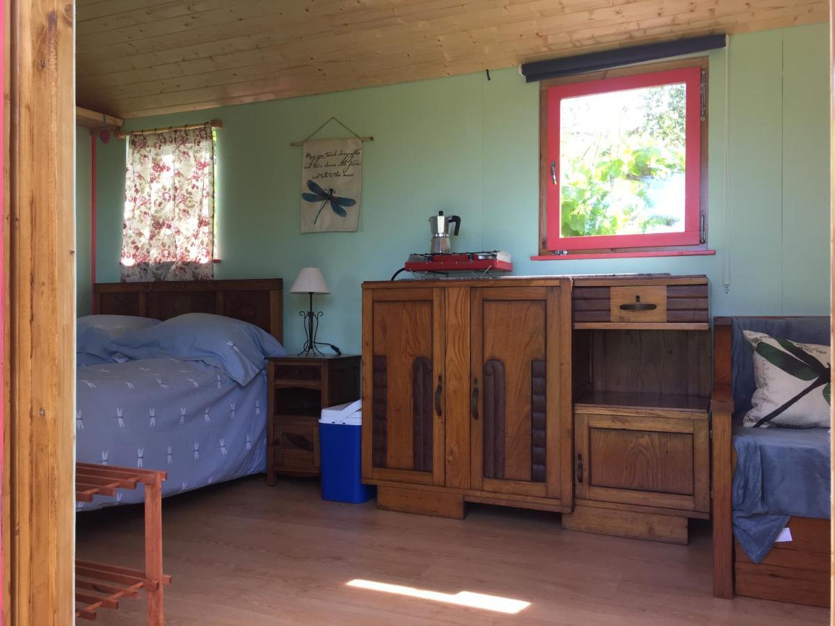 Rosa The Cosy Cabin - Gypsy Wagon - Shepherds Hut, River Views Off-Grid Eco Living Pedrogao Grande Zewnętrze zdjęcie