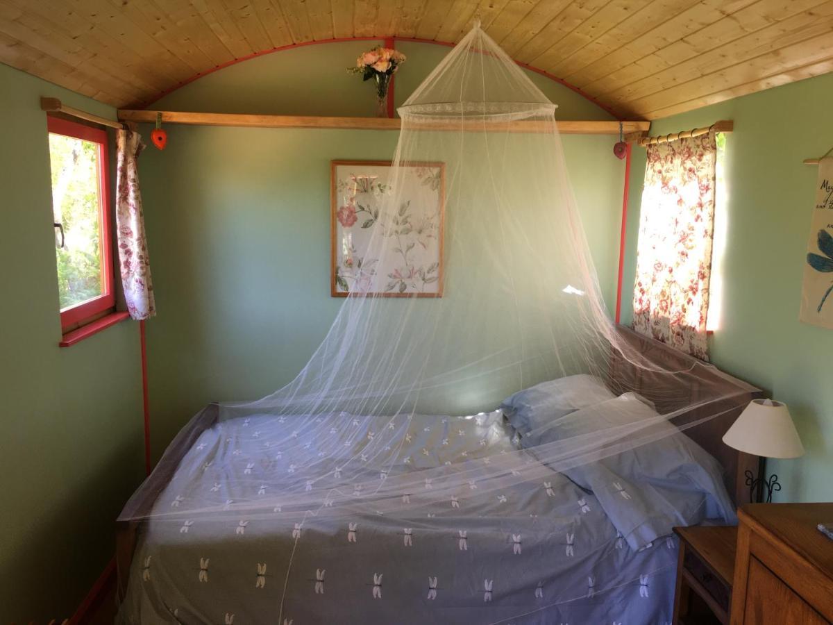 Rosa The Cosy Cabin - Gypsy Wagon - Shepherds Hut, River Views Off-Grid Eco Living Pedrogao Grande Zewnętrze zdjęcie