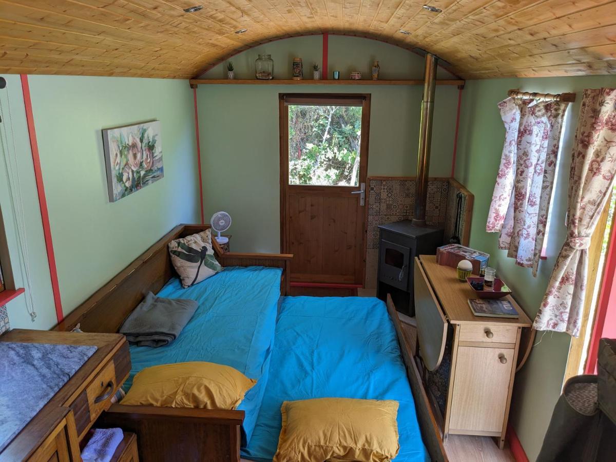 Rosa The Cosy Cabin - Gypsy Wagon - Shepherds Hut, River Views Off-Grid Eco Living Pedrogao Grande Zewnętrze zdjęcie